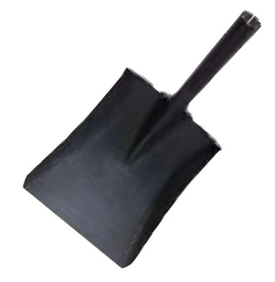 S519A